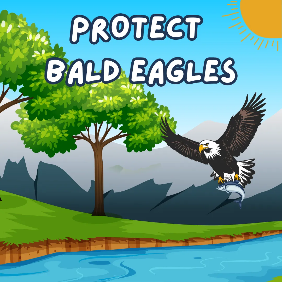Protect Bald Eagles. Illustration of a large bald eagle flying along a river next to trees.